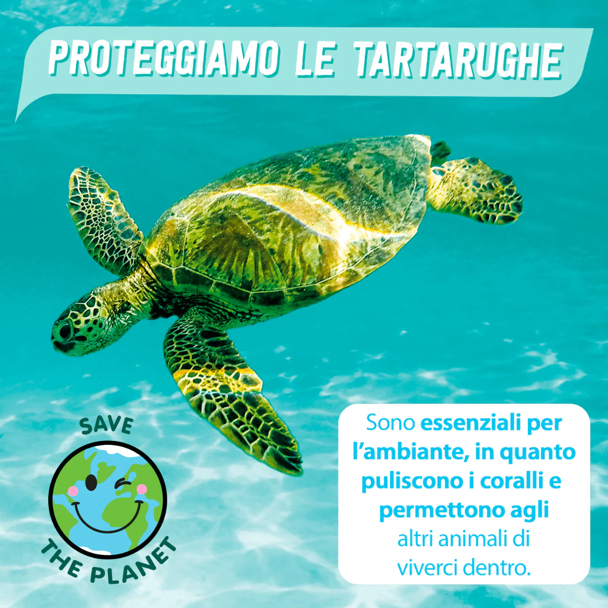 Airbrush - Tartaruga Green - Image 4