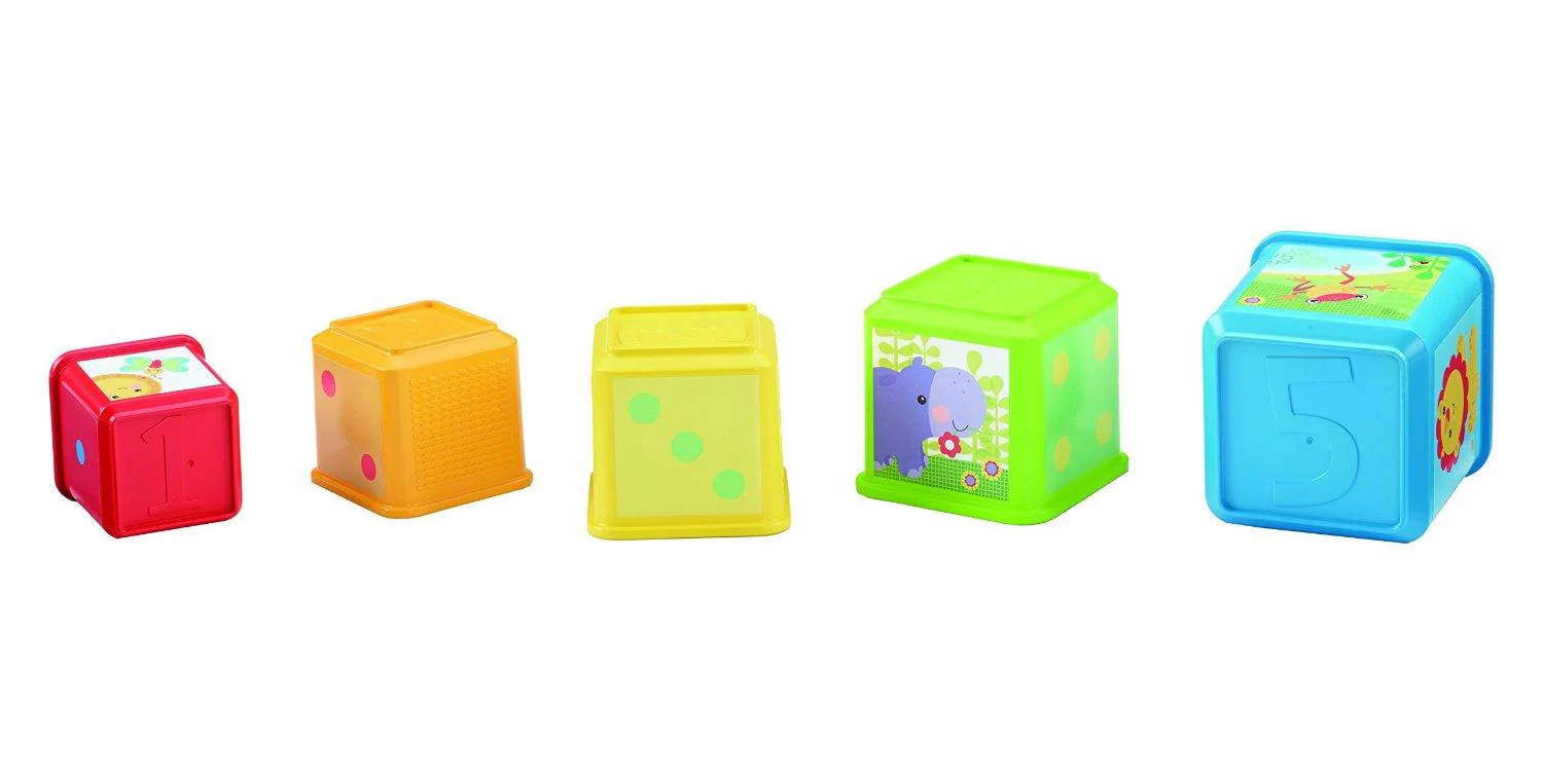 Fisher Price - Blocchi degli Animali - Image 3