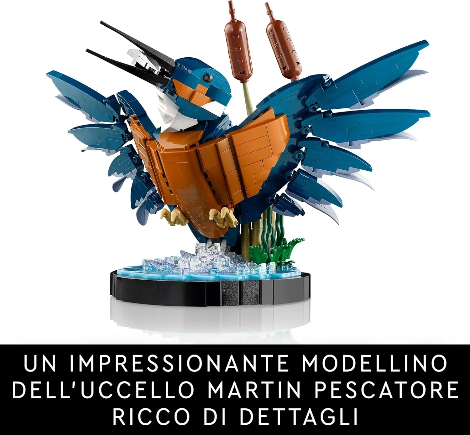 Lego Icons - Martin pescatore 10331 - Image 2