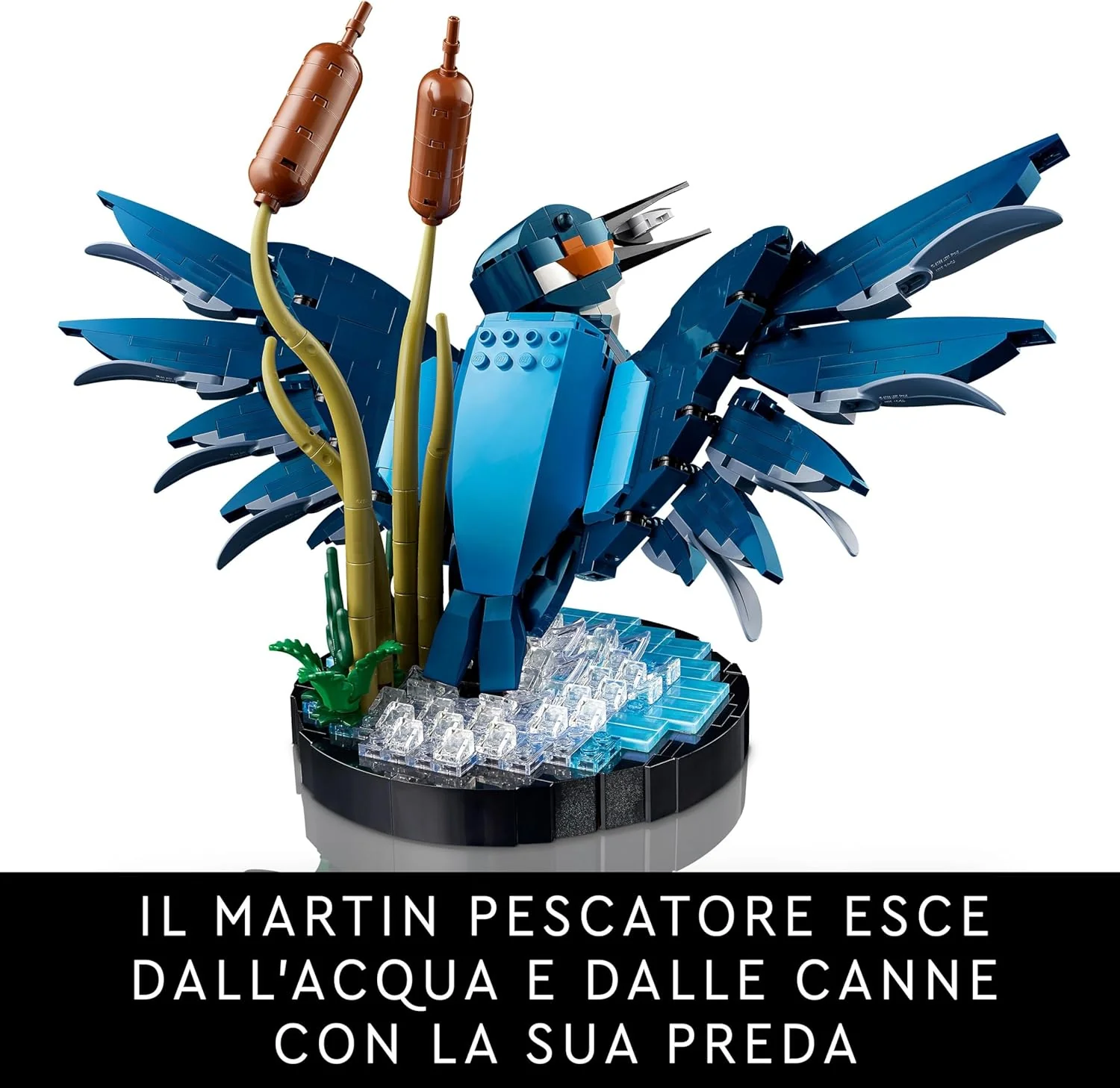 Lego Icons - Martin pescatore 10331 - Image 3