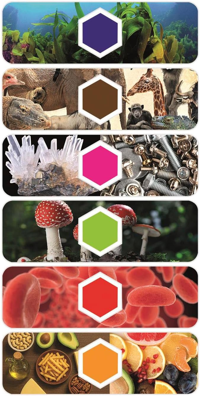 Scienza e Gioco - Microscopio smart AI Interattivo con Telecamera Wi-Fi - Image 5